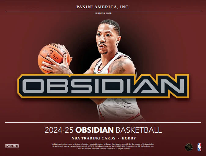 2024/25 Panini Obsidian Basketball Hobby Box